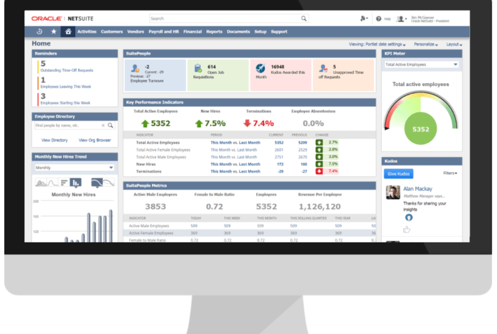 NetSuite Provider: Your Guide to Successful Implementation - Demographic
